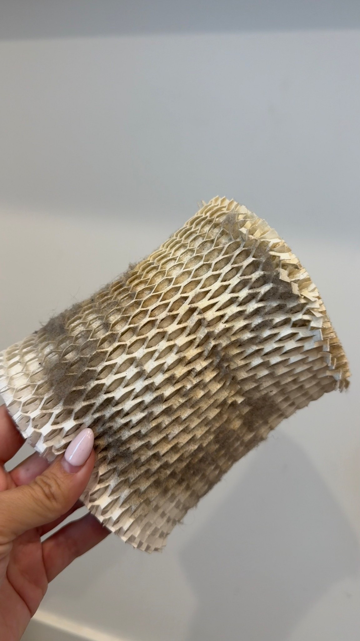 Best air humidifier and air purifier for the bedrooms tagging all my fav brands. Keeps your air clean and moist! 

#LTKKids #LTKHome #LTKmomlife