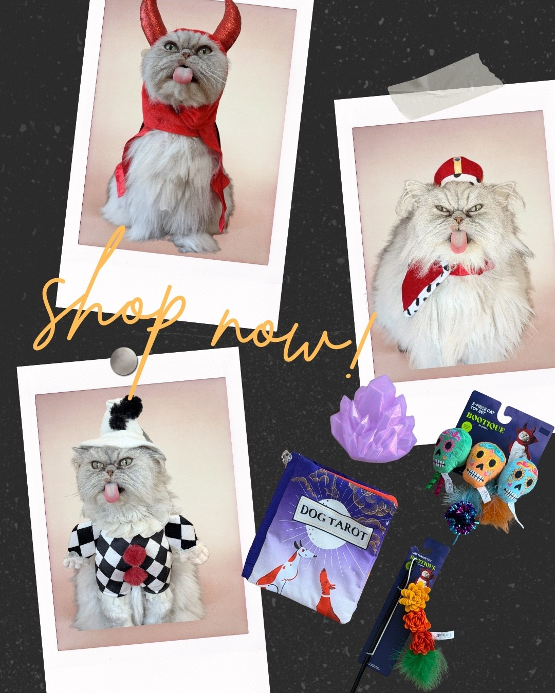 Shop our favorite selections from Petco’s Halloween Bootique Collection! There are so many fun finds and amazing deals!  #ad #PetcoPartner @petco 