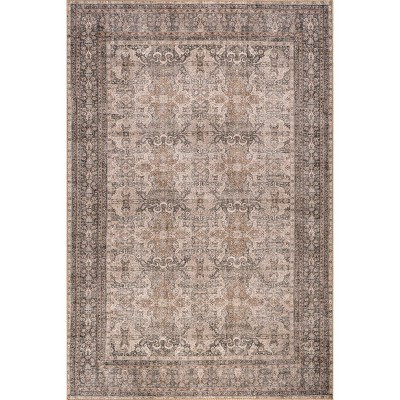 Nuloom Hillstone Collection Else Traditional Vintage Medallion Area Rug | Target