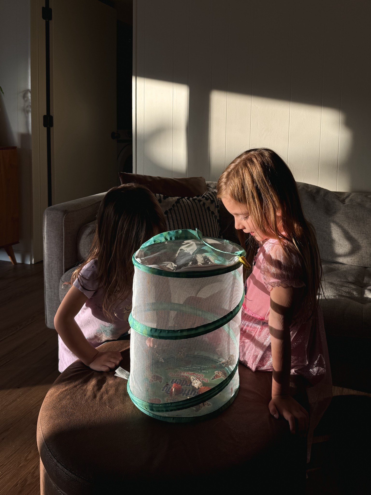 Our butterfly garden kit from Insect Lore is a hit every time!

Stem toys, educational toys, kids nature activities, science kit, sensory toys, kids gift, gifts for kids

#LTKKids #LTKFindsUnder50 #LTKFamily