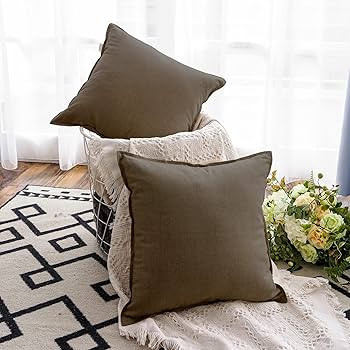 Jeanerlor Set of 2 20"x20" Pillowcase Cousion Cover Decor Cotton Linen with Unique Design to Embe... | Amazon (US)