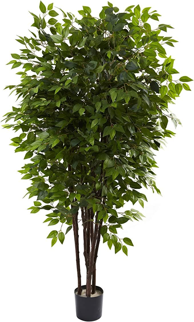 Nearly Natural 5402 6.5ft. Deluxe Ficus Tree,Green,48x48x78 | Amazon (US)