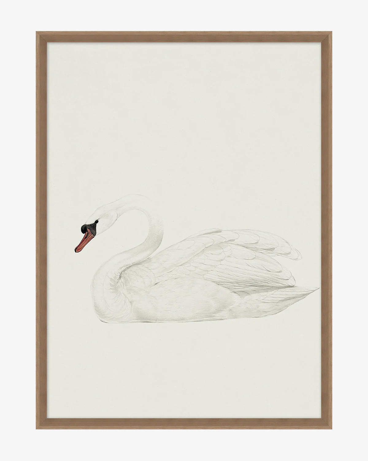 Neutral Swan | McGee & Co. (US)