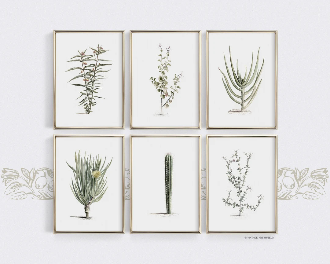 Vintage Botanical Gallery Wall Set of 6 Printable Rustic Wall - Etsy | Etsy (US)