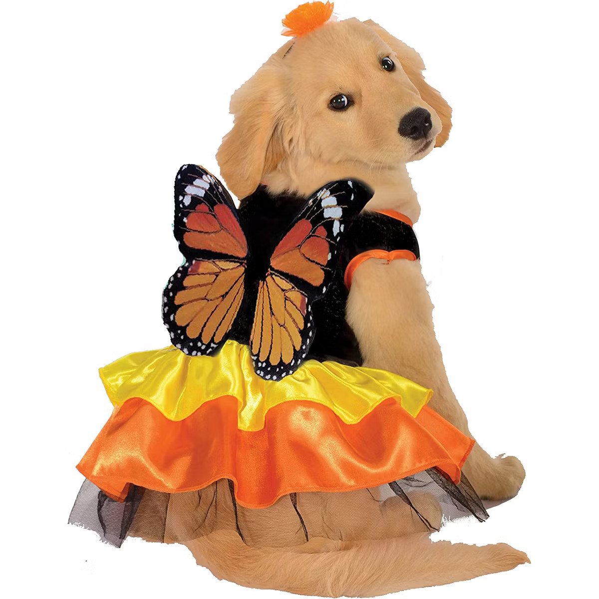 Rubies Pet Monarch Butterfly Costume - X-Large | Target