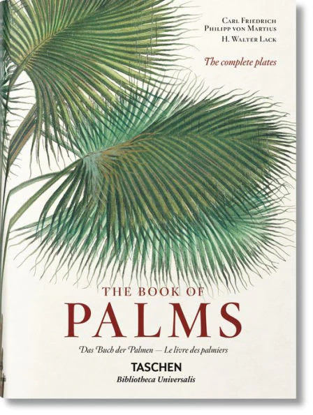 The Book of Palms | Megan Molten