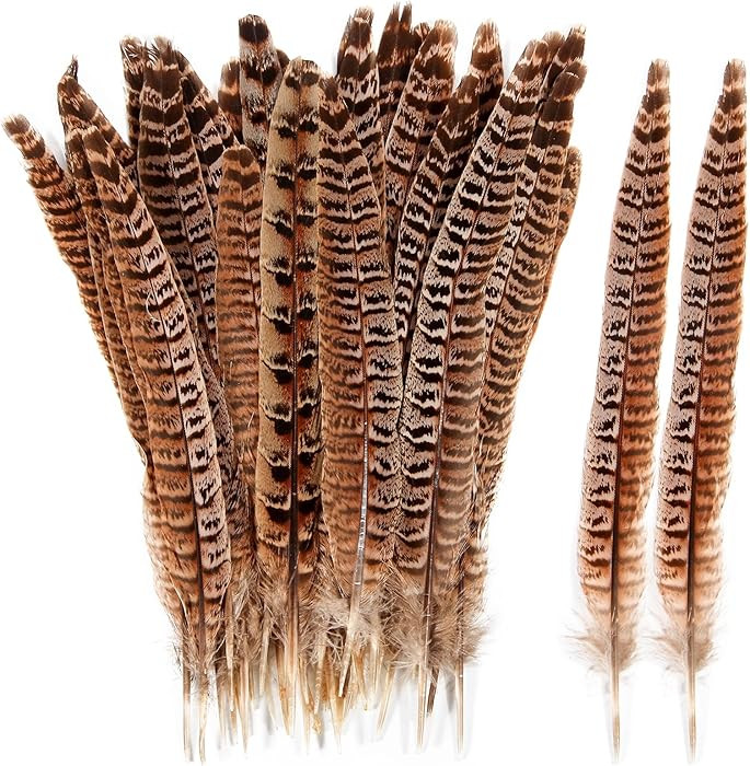 THARAHT 24pcs Female Ringneck Pheasant Tails Feathers Natural Feathers 6-8inch 15-20cm for Crafts... | Amazon (US)