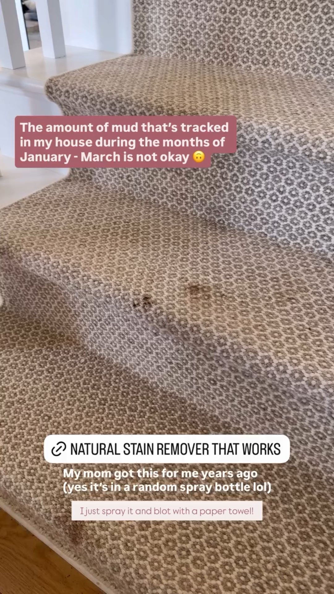 The amount of mud that’s tracked in my house during the months of January - March is not okay 🙃 My mom got this for me years ago (yes it’s in a random spray bottle lol) I just spray it and blot with a paper towel!