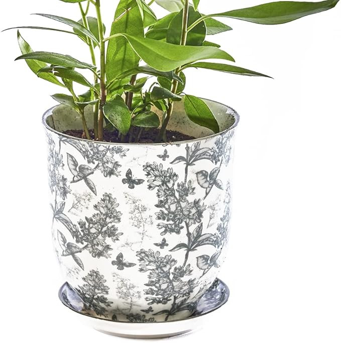 CHIVE ‘Liberte’ Ceramic Succulent Pots — 4.25” Cute Vintage Farmhouse Style Planters for ... | Amazon (US)