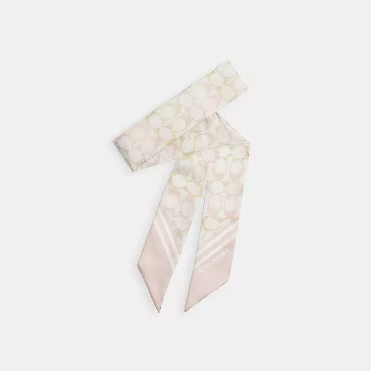 Signature Silk Skinny Scarf | Coach (US)
