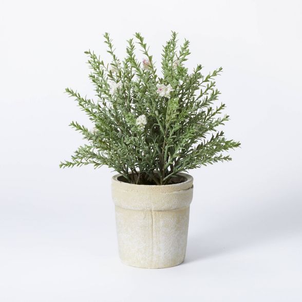 Target/Home/Home Decor/Decorative Objects & Sculptures‎Flowering Thyme Potted - Threshold™ de... | Target