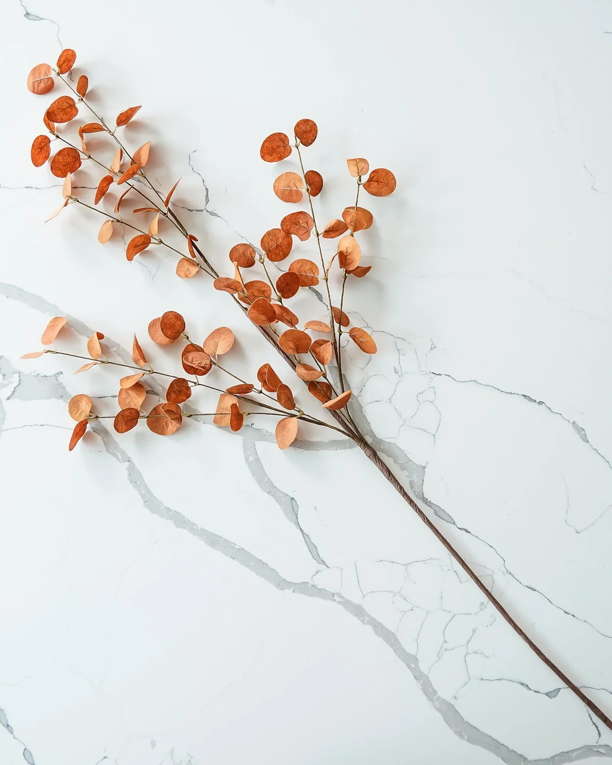 Eucalyptus Leaf Spray | Burnt Orange | MJHome