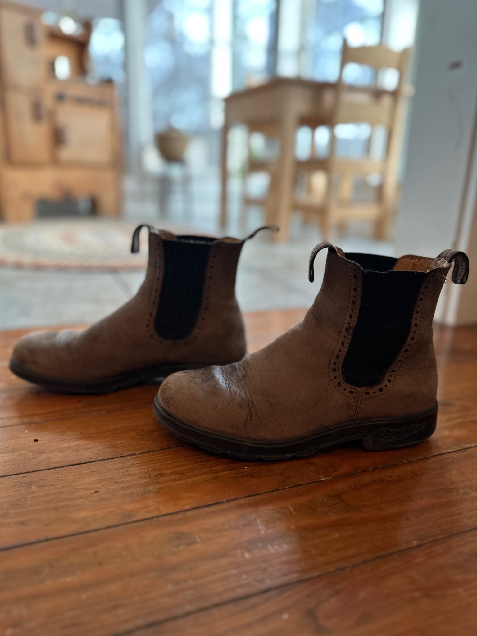 Boots that last a lifetime. Blundstones are the best. I’ve worn these everyday for nearly a decade and they only get better with time. They’re cute with everything and practical for anything. 

#LTKStyleTip #LTKShoeCrush