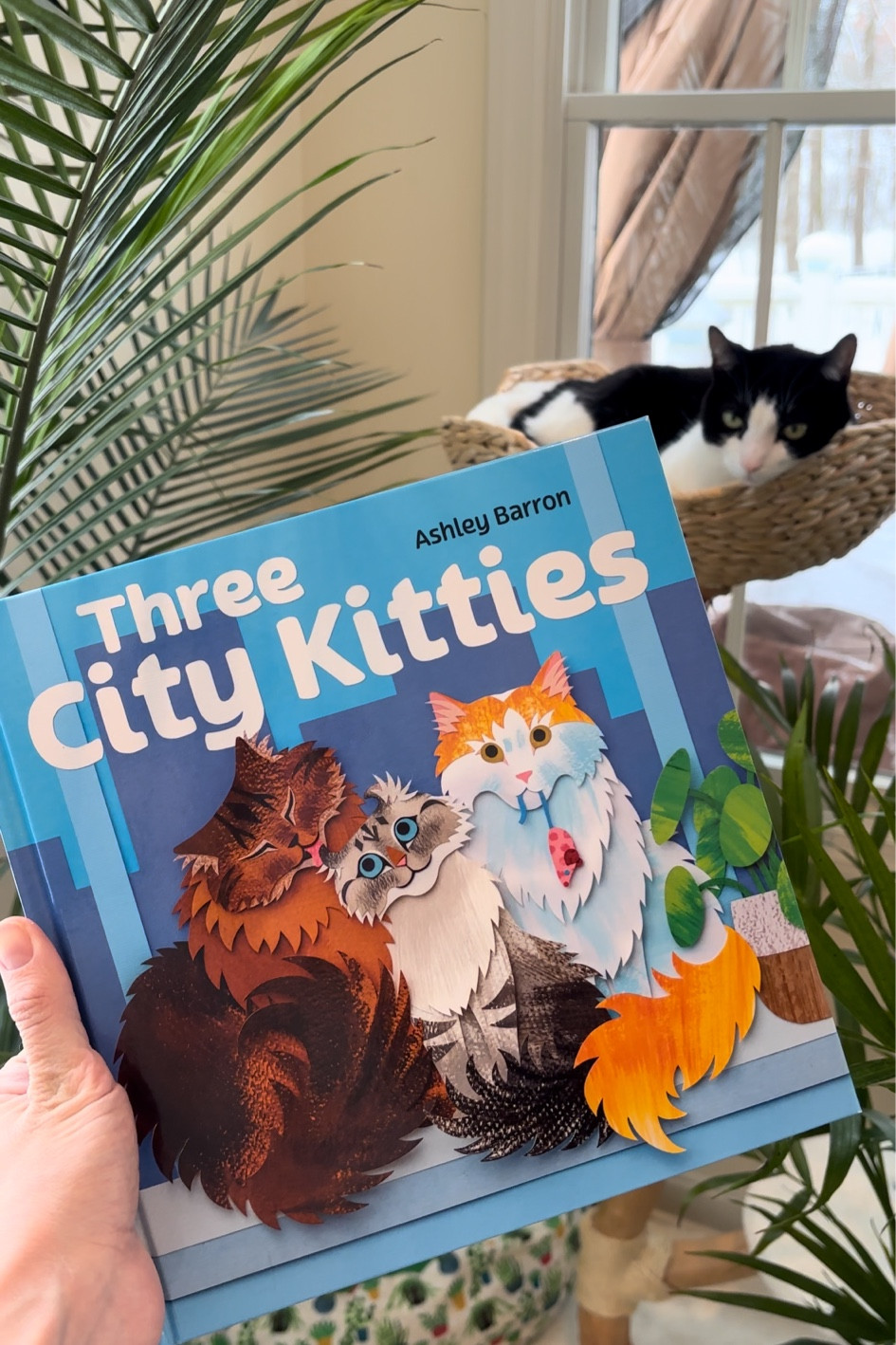 A charming book that you and your child will love relating to! I bet your cat shares some of the same silly antics as the three city kitties! 😸📖