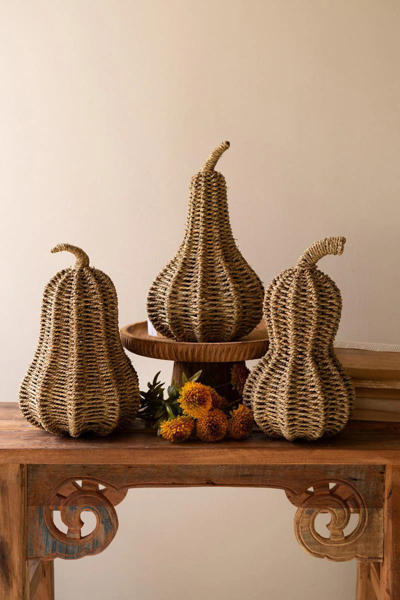 The Holiday Aisle® SET OF THREE WOVEN VINE GOURDS | Birch Lane | Birch Lane