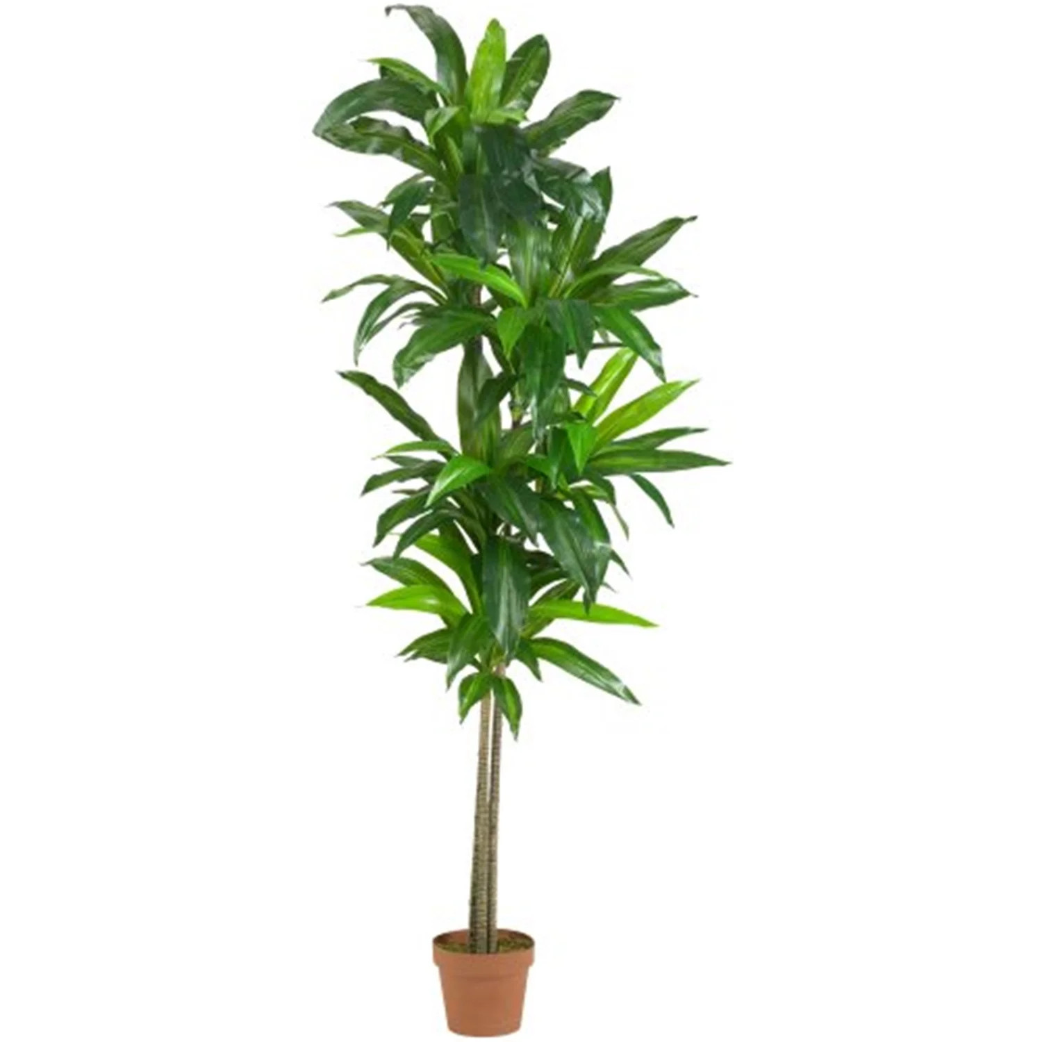 Nearly Natural 6' Dracaena Artificial Plant (Real Touch), Green | Walmart (US)