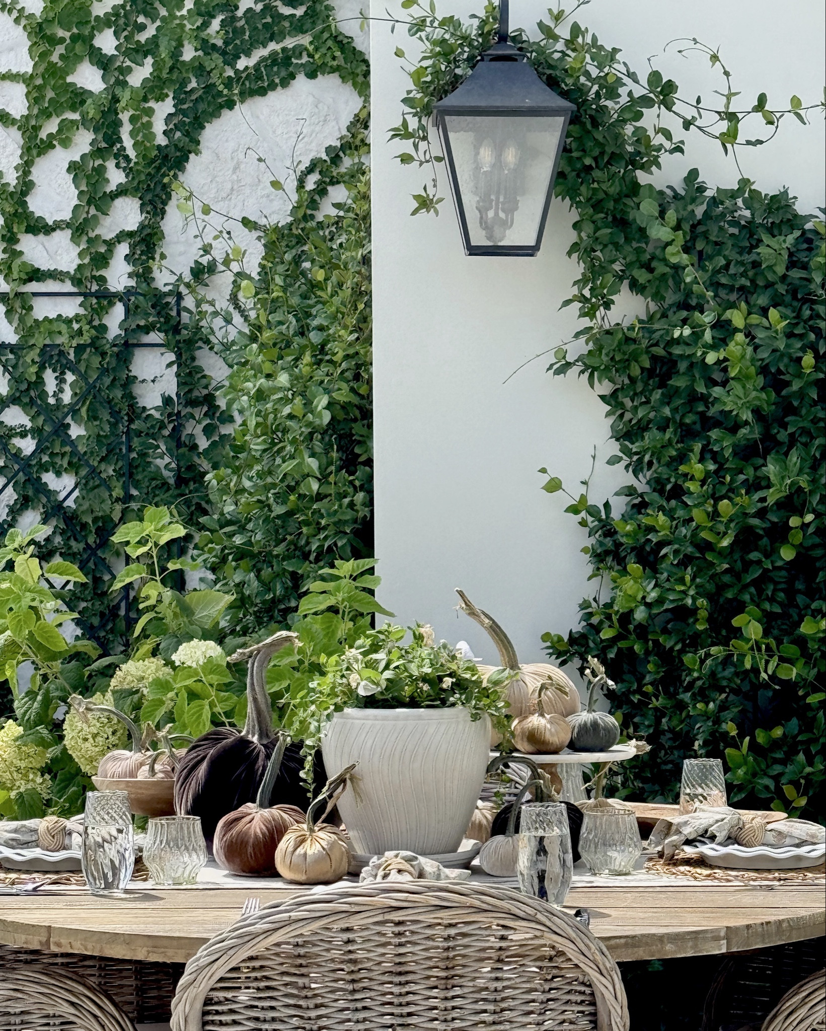 Oh my goodness!  These gifted silk velvet pumpkins from @hotskwash #ad have transformed what my Thanksgiving tablescape is going to be!  When I say you need these, you do!  They are silk velvet pumpkins with real stems!  I will use these forever and ever!!!  Quality is amazing and they come in any variety of colors, or with feathers!  My colors are cream, espresso, mocha, brass & willow!

#LTKFamily #LTKHome #LTKSeasonal