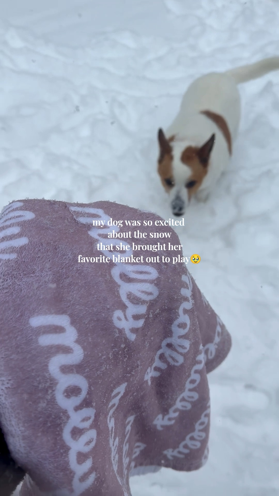 A family favorite. She was jealous the year Shepherd got one for Christmas so we got her one, too! Comes in so many colors, different sizes (got the baby size for the 🐶) and easy to personalize. Makes a wonderful gift 

#LTKSeasonal #LTKHoliday