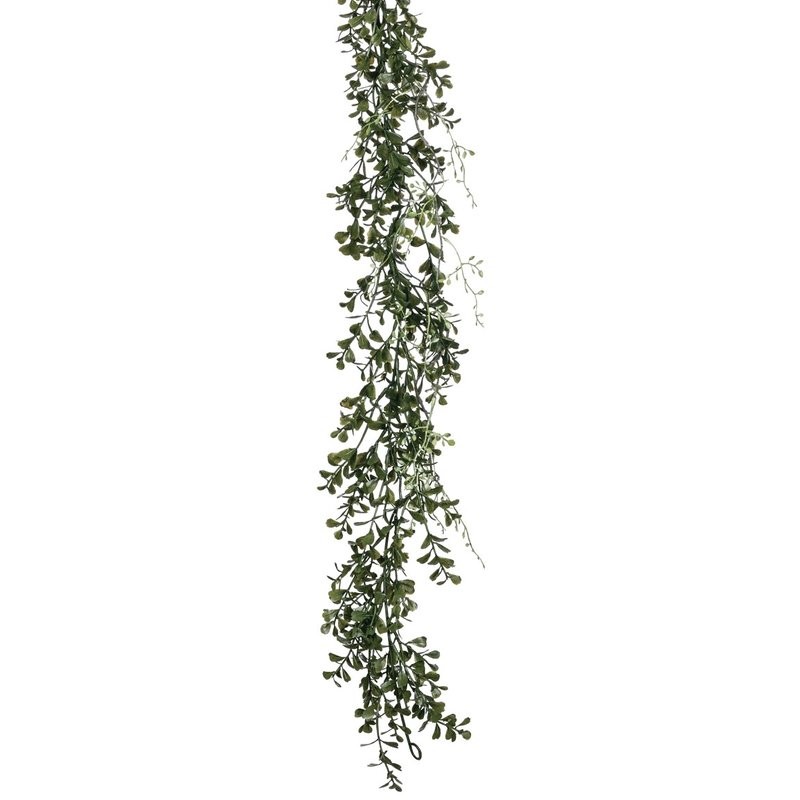 Boxwood Garland | Wayfair North America