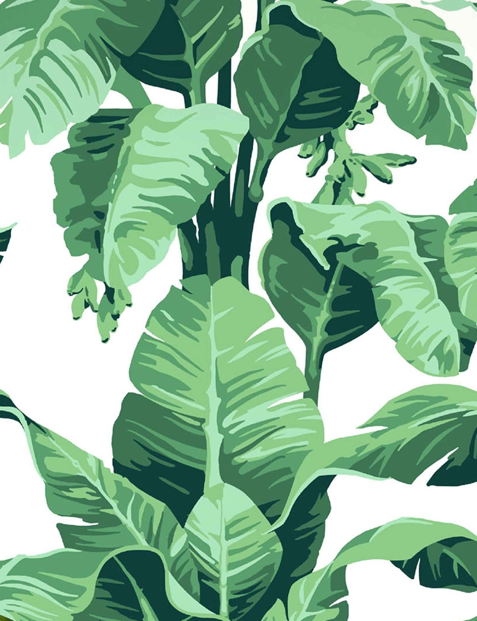 Pacifico Palm Wallpaper by Nathan Turner, Ivory | Lulu and Georgia 