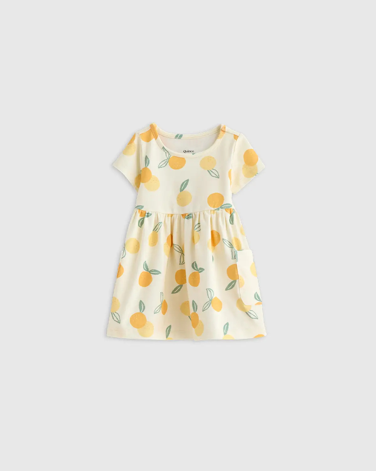 Organic Cotton Fit and Flare Pocket Dress | Quince