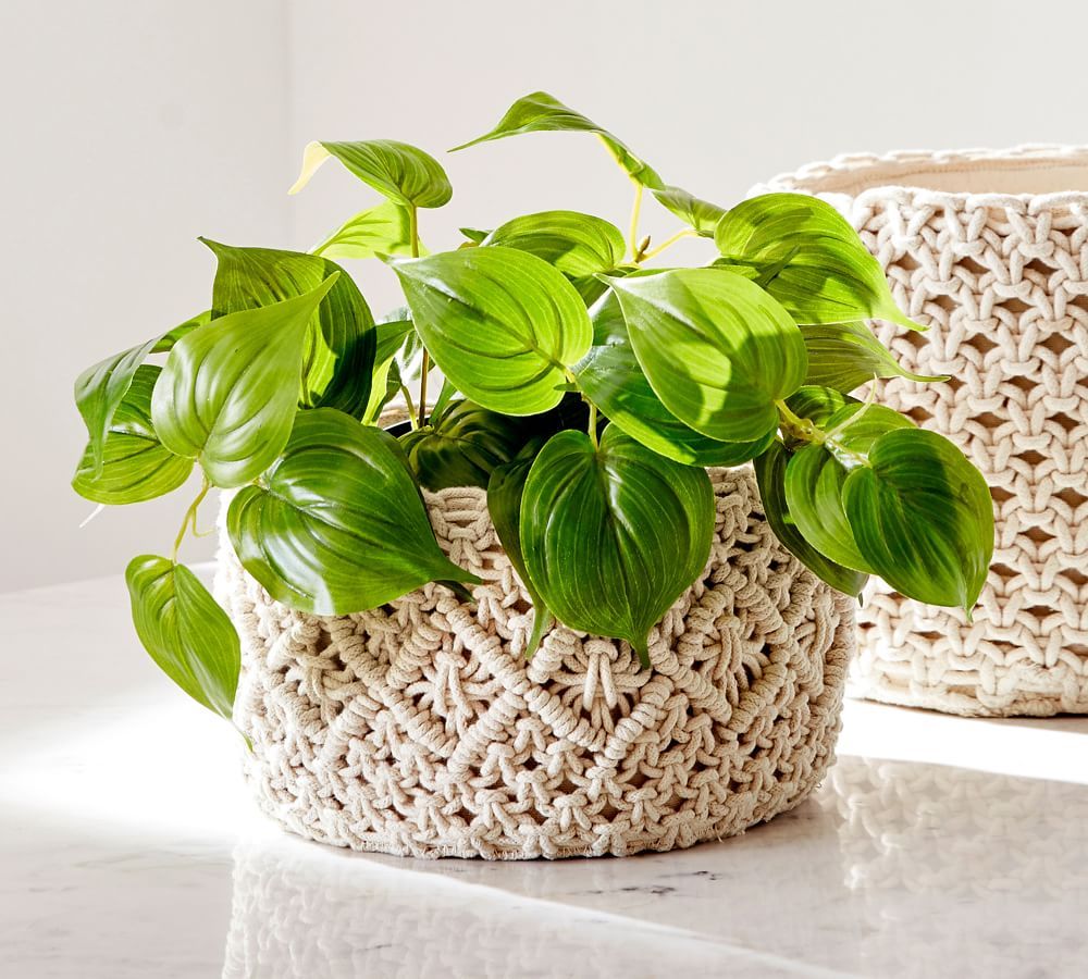 Faux Potted Pothos Houseplant | Pottery Barn (US)