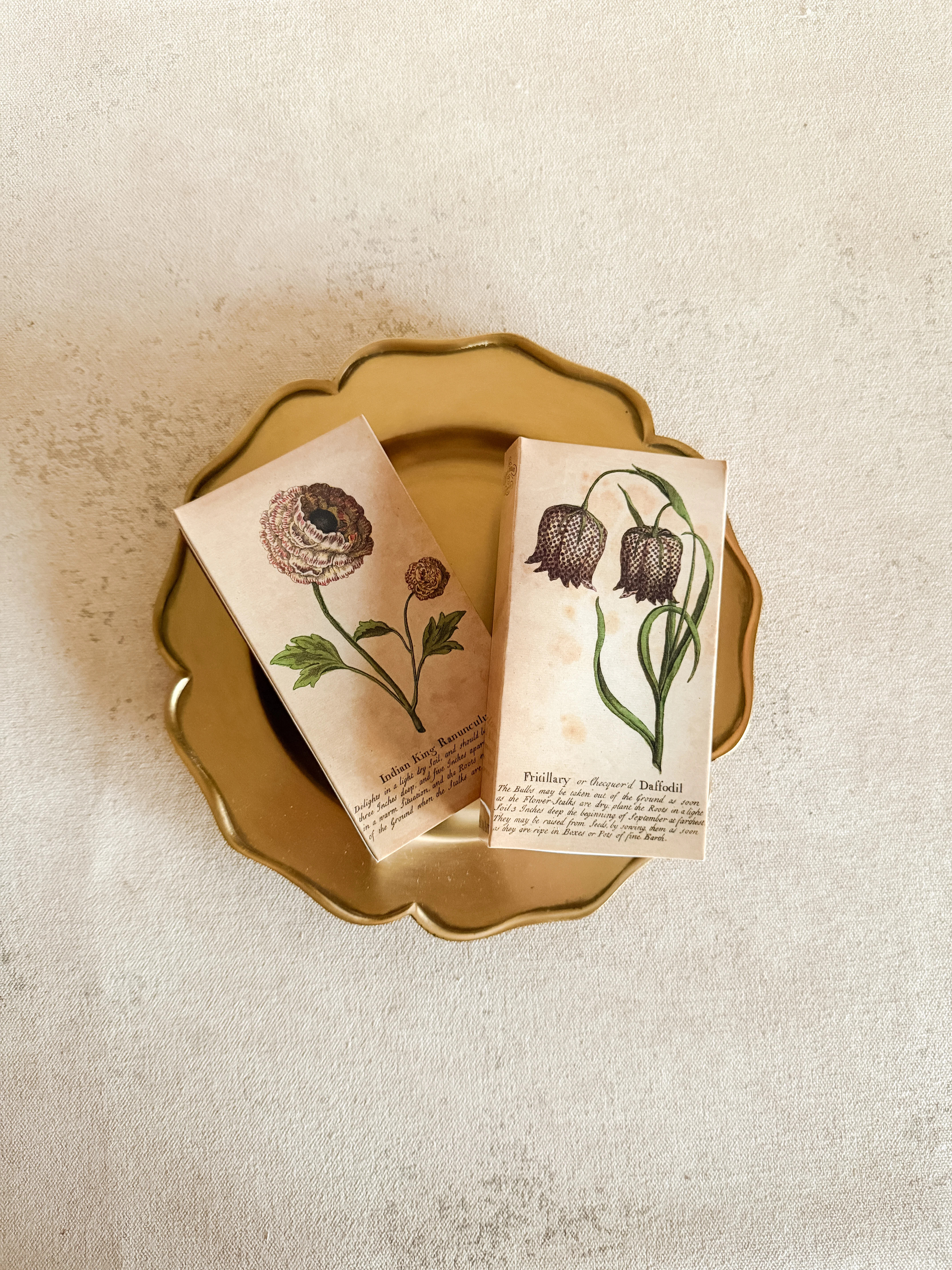 Ranunculus & Daffodill Matches | Cottage and Key