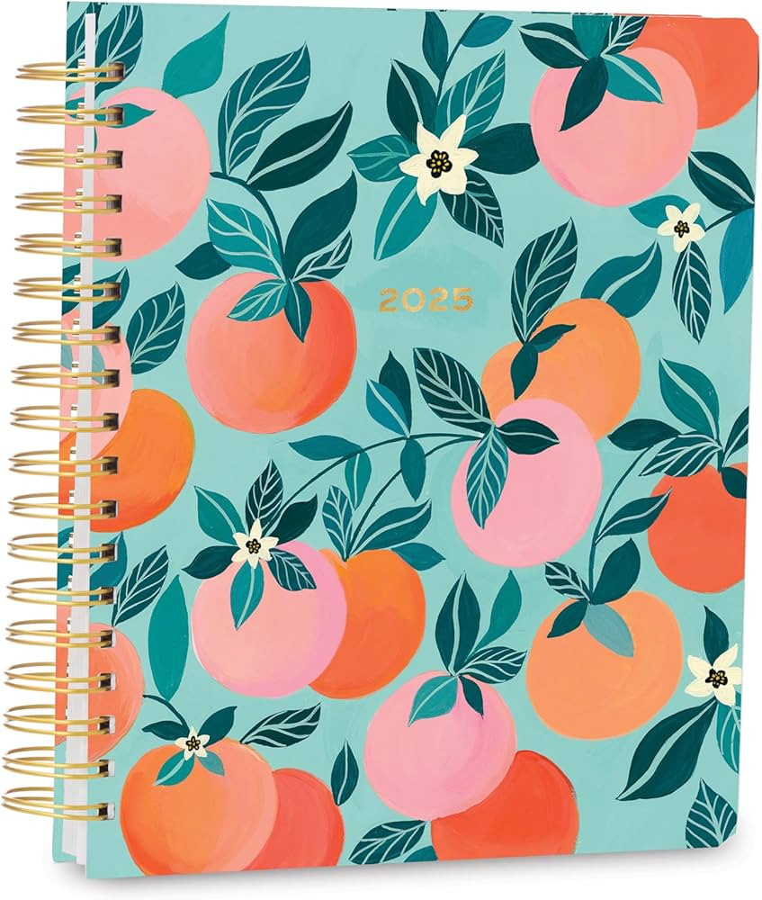 High Note 2025 Planner, 17-Month Weekly & Monthly Hardcover Planner: August 2024 to December 2025... | Amazon (US)