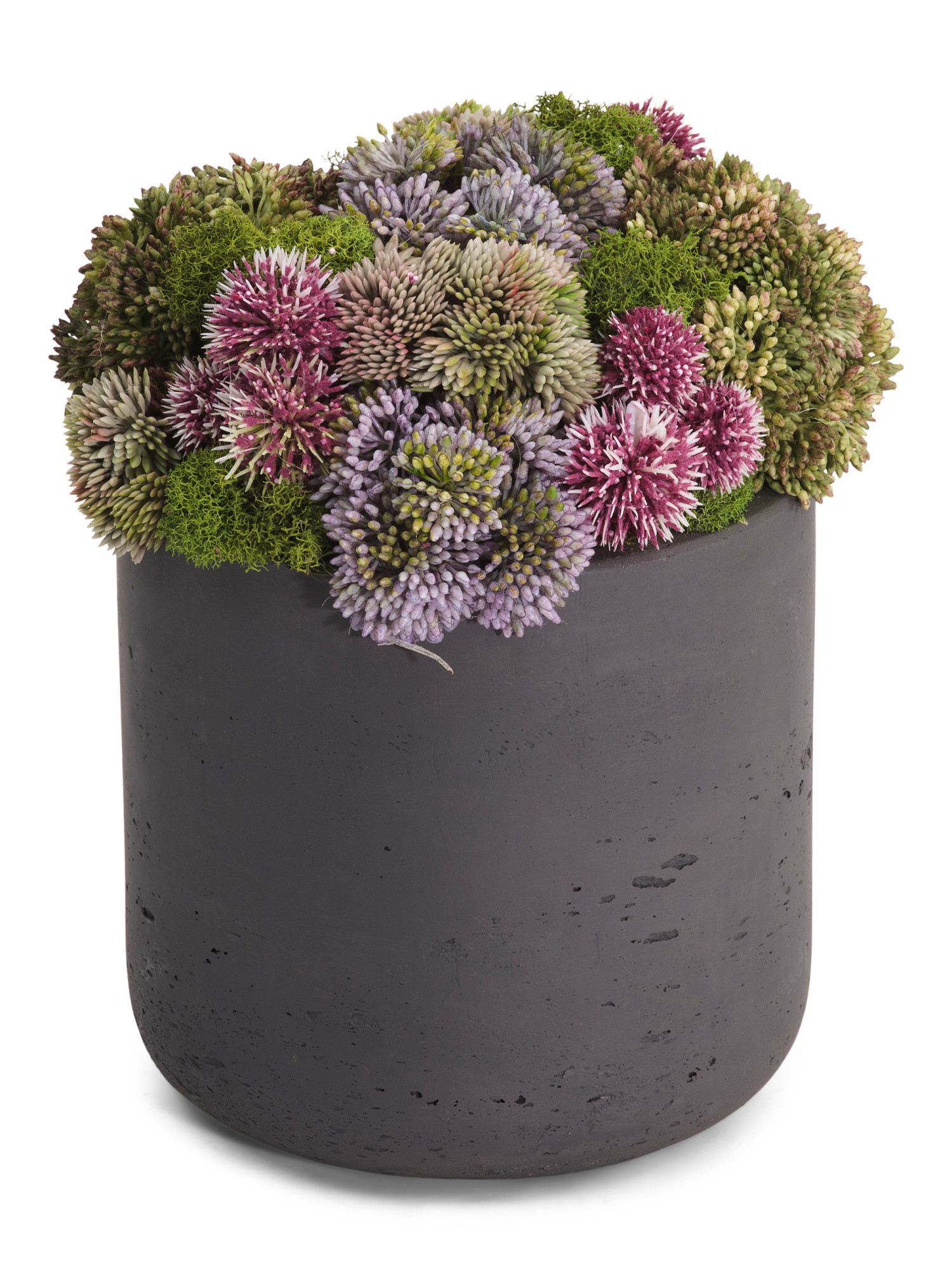 Made In Usa Sedum And Moss In Fiberstone Pot | TJ Maxx