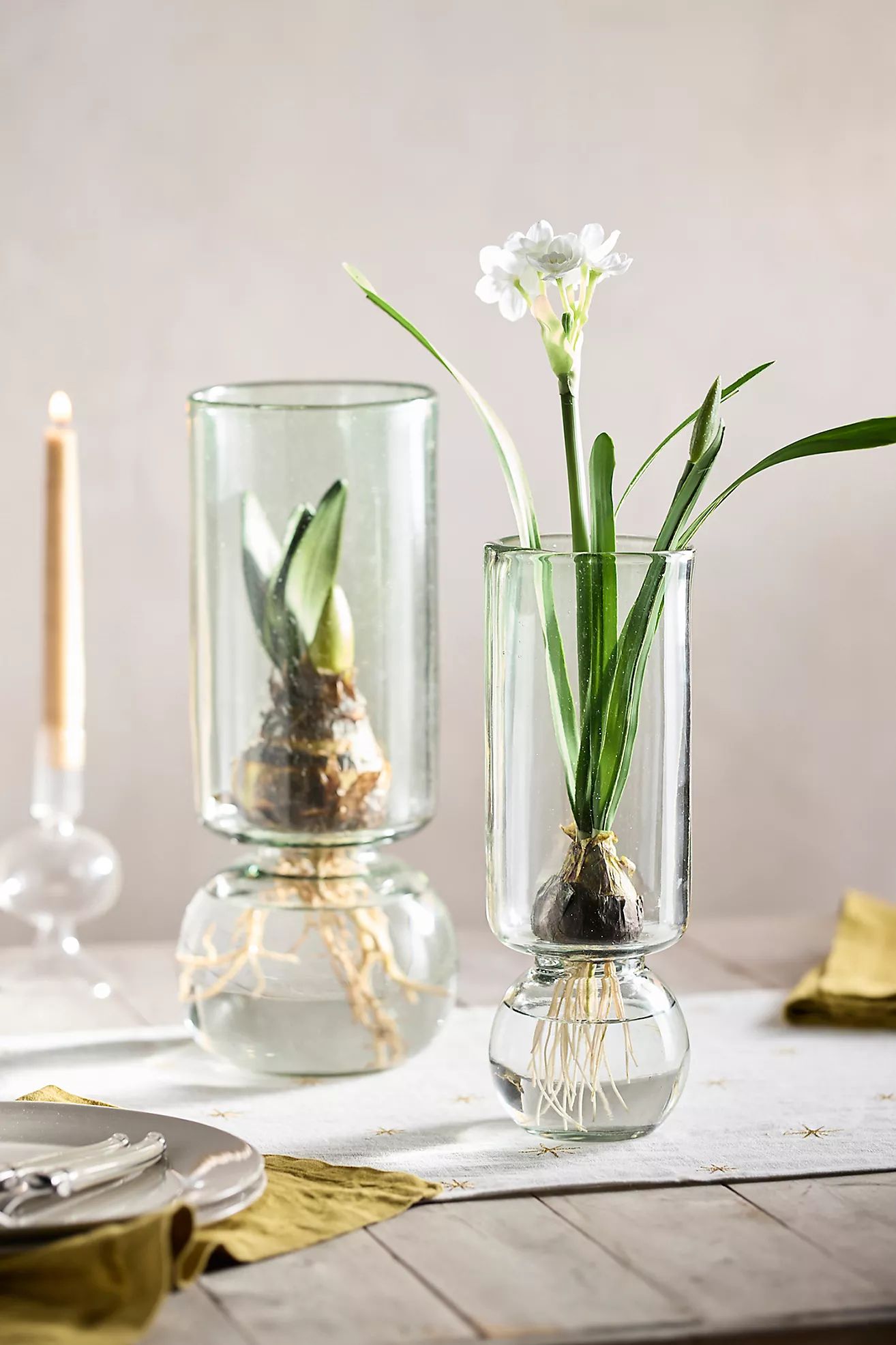 Recycled Glass Cylinder Bulb Vase | Anthropologie (US)