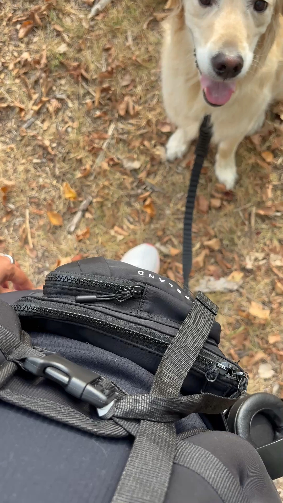 Biggest lie I ever told myself “walking is free” it can be a super affordable way at to workout but I have since invested in gear and never turned back. I designed the crossbody — it’s the errand crossbody available at shopcopeland.com and features a ring to attach your leash, and also a hidden water bottle holder 🤍

#LTKfitnessgoals #LTKdayinmylife #LTKActive
