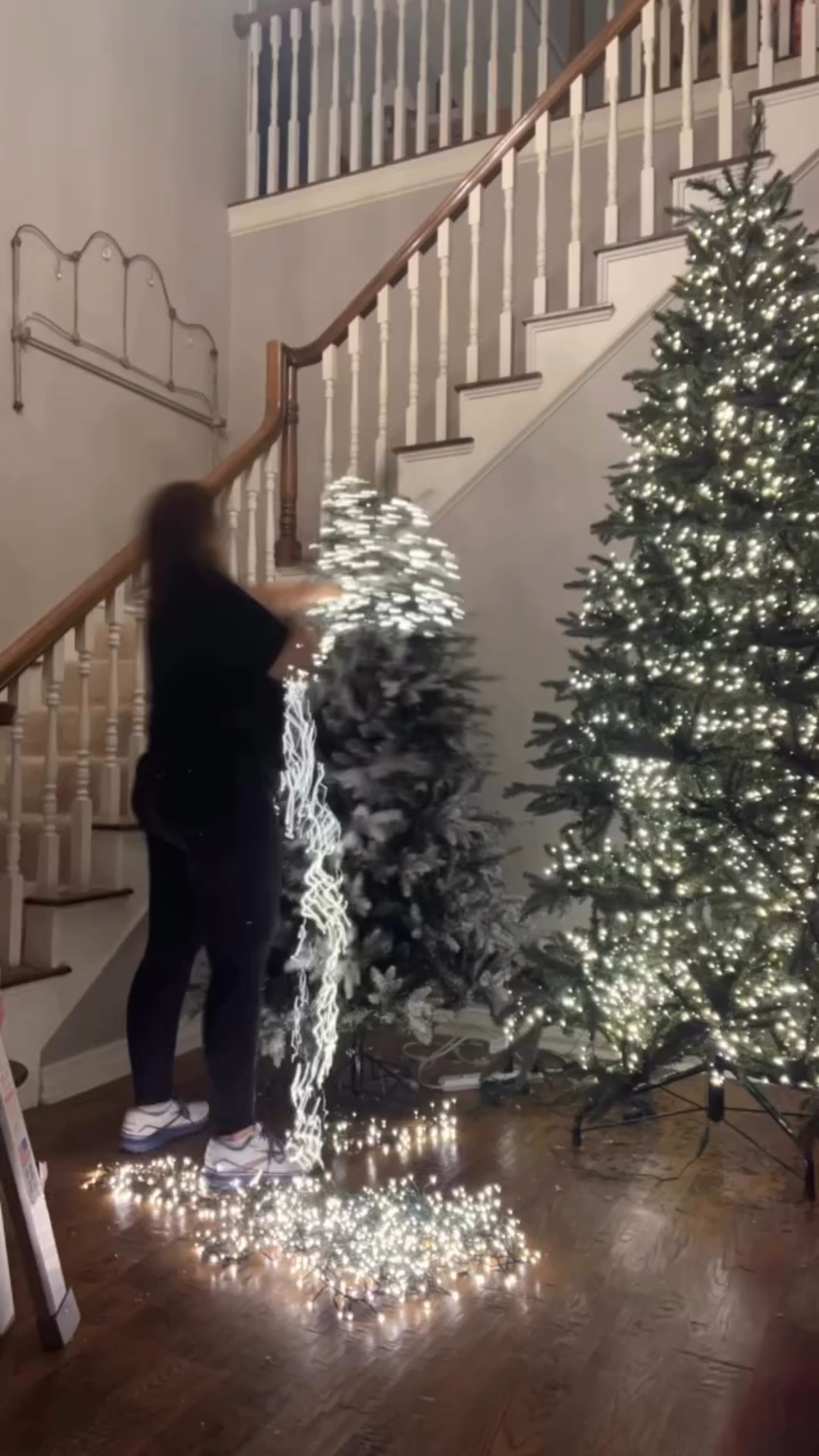 Comment “Cluster” for the link.👇

This is a 49.5 foot connectable cluster light and it is amazing!  I used three strands to light up this 6.5 foot flocked tree.

If you’ve never seen these in action, be sure to follow me and stay tuned to stories.

Comment “Cluster” for links.

I can’t wait to show you more.

#Christmas #christmaslights #lights #christmasdecor #christmasdecorating #holiday #holidaydecor #holidaylights #christmastree #Christmastime #christmasdecorations #christmastreedecorating #christmasmood #christmasspirit #christmasvibes #christmasmagic #sparkle #shinebright #holidays #holidaydecorating #holidayseason #cluster #clusterlights

#LTKHome #LTKSeasonal #LTKHoliday