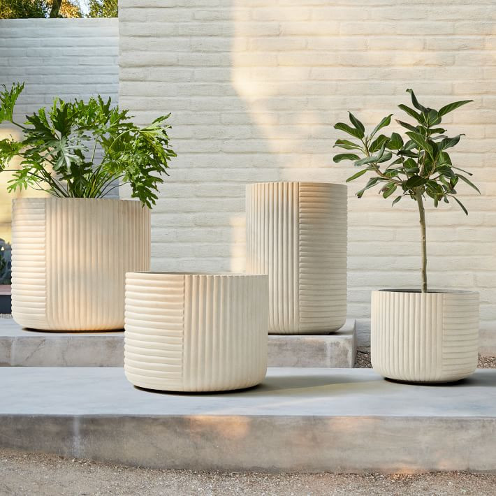 Cecilia Ficonstone Indoor/Outdoor Planters | West Elm CA