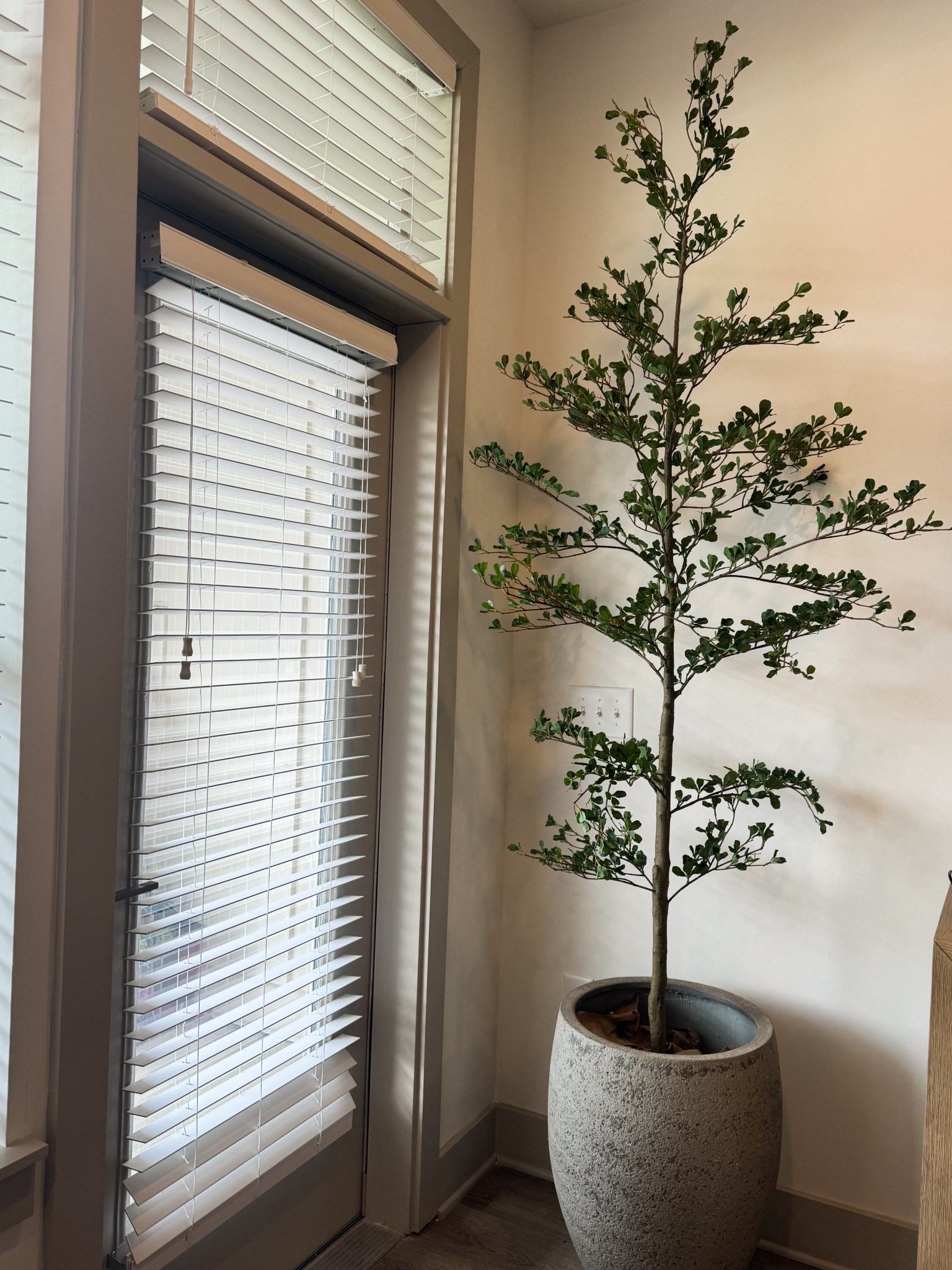 Just unboxed it and haven’t set it up but had to share because it’s so pretty!!!! 

#LTKSaleAlert #LTKHome