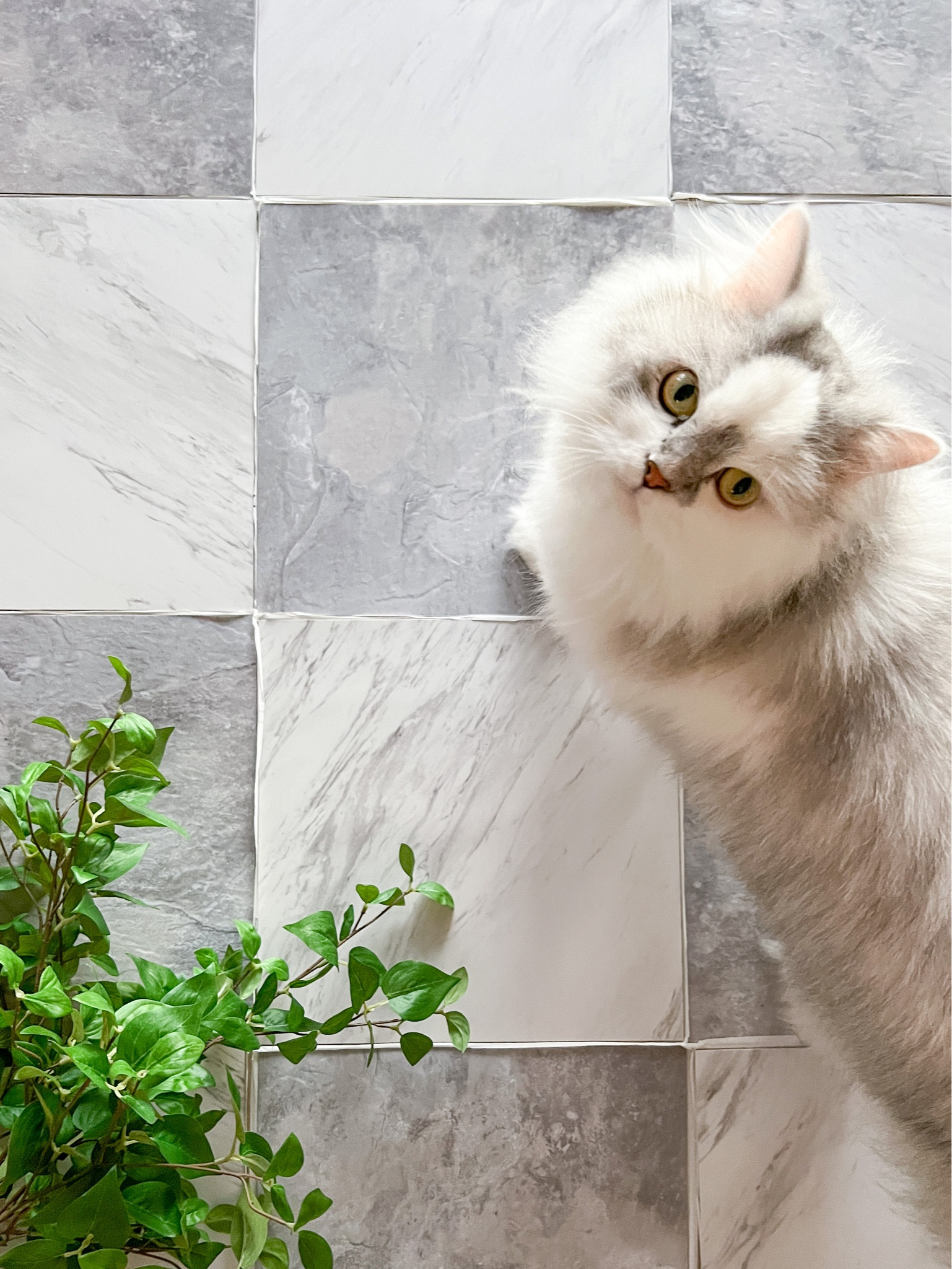 High End look for less!!!  Peel and stick DIY #diy

#LTKFind #LTKhome