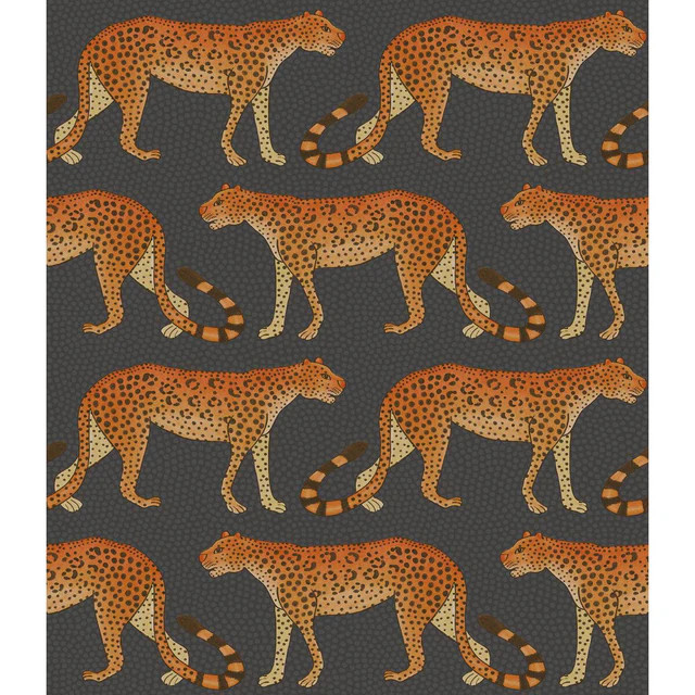Cole & Son Leopard Walk Charcoal & Orange Wallpaper | DecoratorsBest