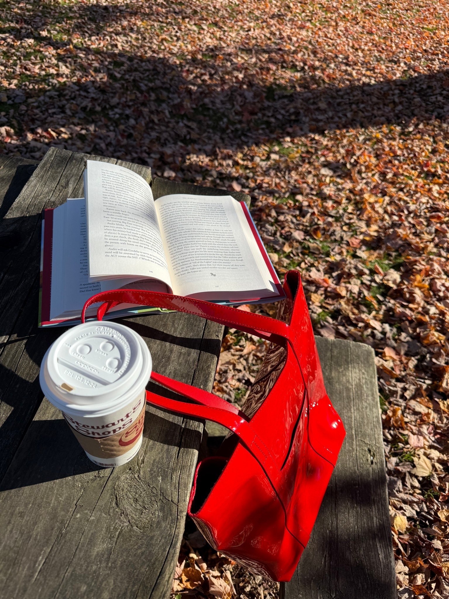 Tote, red tote, French fashion, sezane, fall, fall bag, fall fashion staple 

#LTKWorkwear #LTKSeasonal #LTKItBag