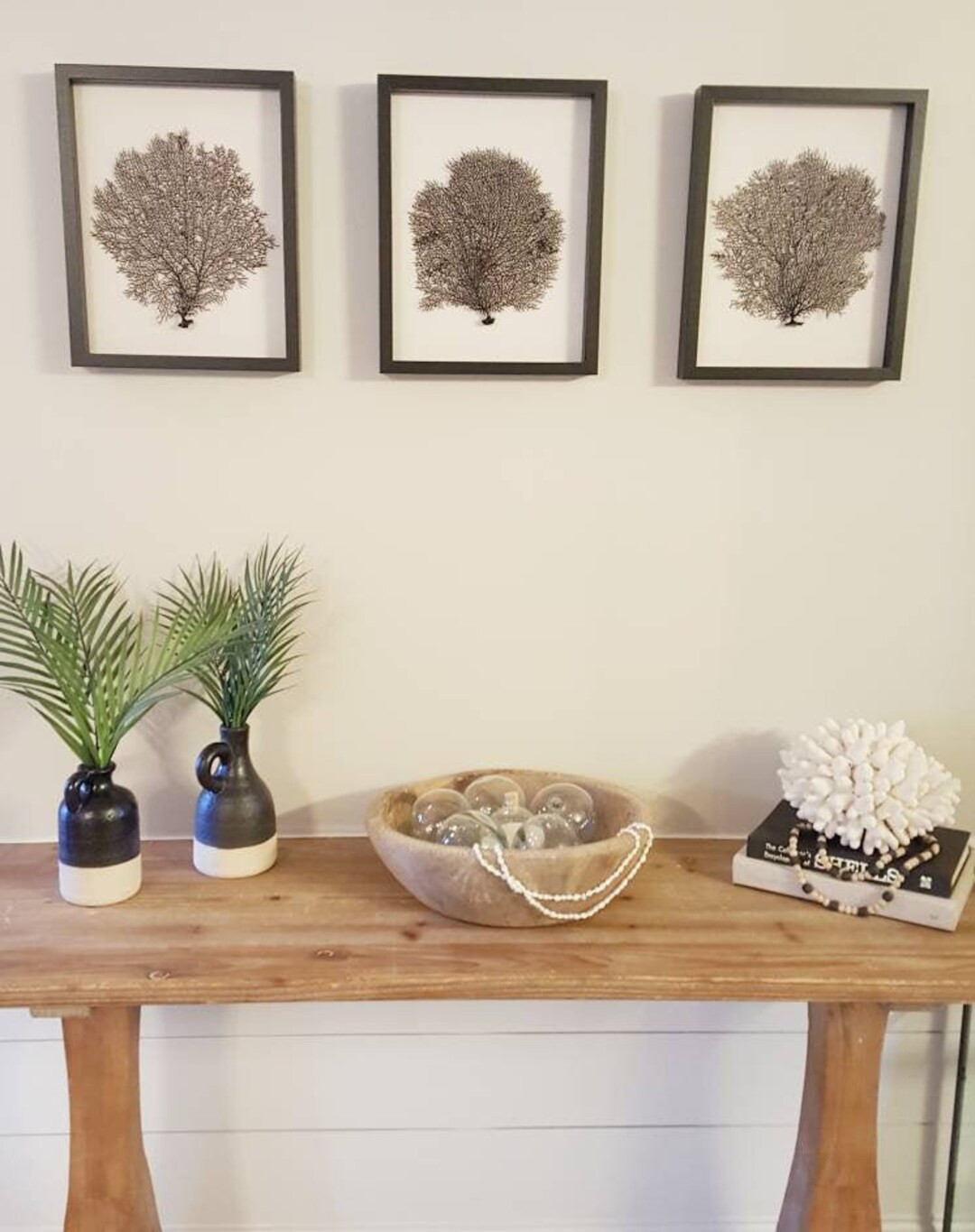 Set of 3 Framed Black Sea Fan Shadowboxes, Coastal Wall Art | Etsy (US)