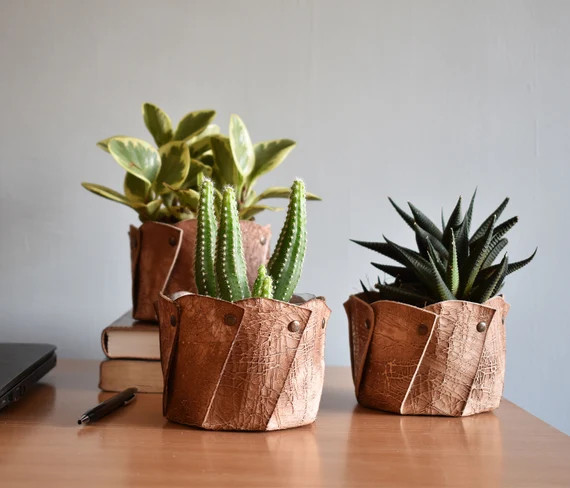 Set of 2 Indoor Leather Planter for Home Decor Designer - Etsy | Etsy (US)