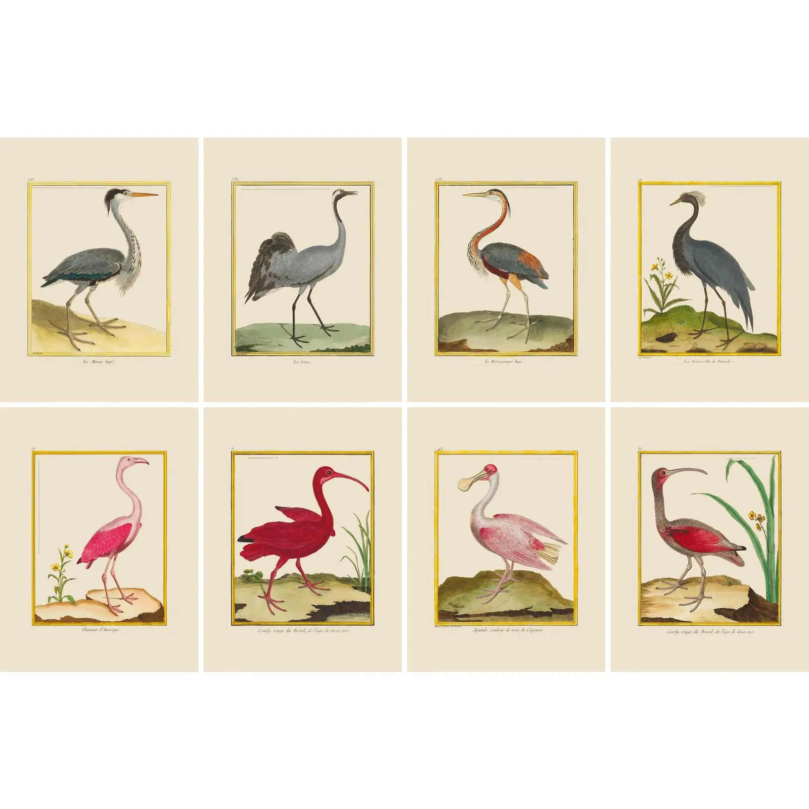 Shore Bird Grouping by Martinet Blue and Pink Giclee Reproductions | Chairish
