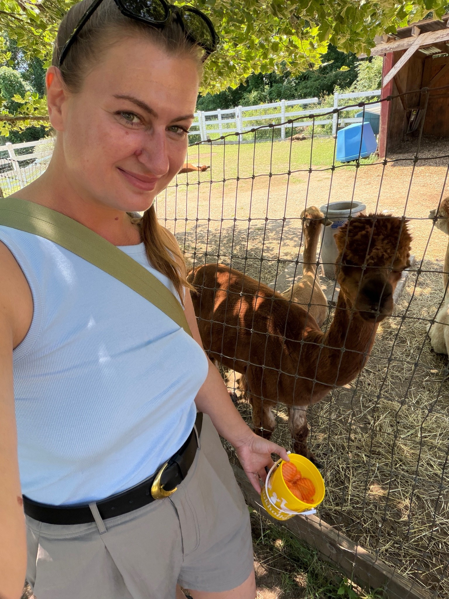 Selfies with animals always make my day :) 🦙

#LTKdayinmylife #LTKmomlife #LTKMidsize
