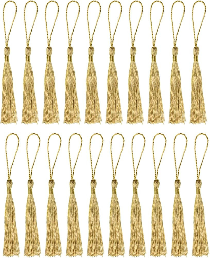 Tupalizy Mini Silky Handmade Soft Flossy Bookmark Tassels with Cord Loop for Keychain Earring Jew... | Amazon (US)