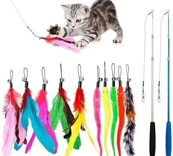 Cat Toys Feather Toy, 2PCS Retractable Wand and 10PCS Replacement Teaser with Bell Refills, Inter... | Amazon (US)