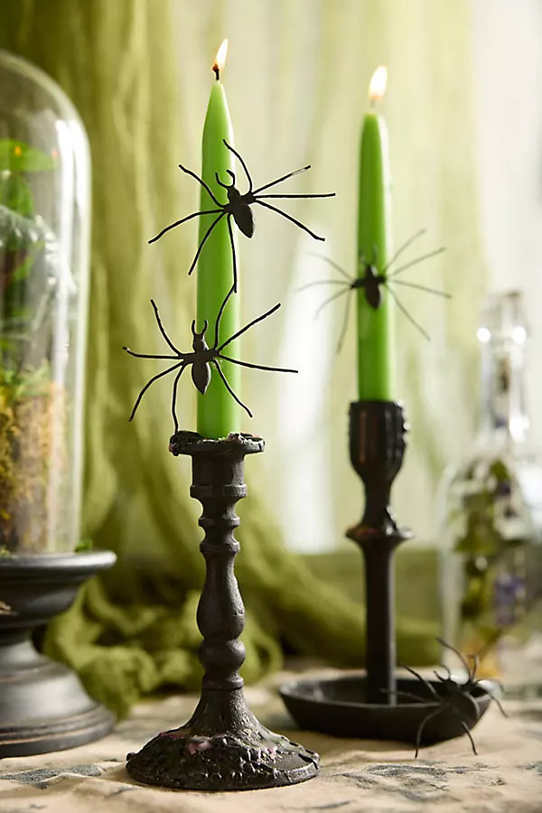 Spider Candle Pins, Set of 4 in Black at Terrain | Terrain