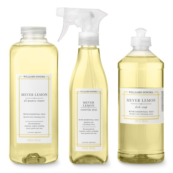 Williams Sonoma Meyer Lemon Cleaning Set | Williams-Sonoma