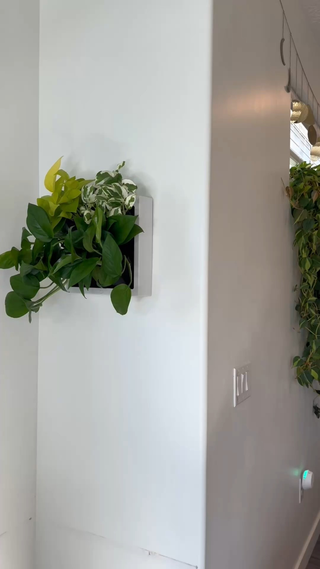 Houseplant Wall Planter 

#LTKHome