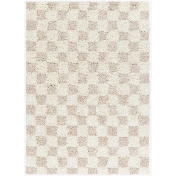 Atiran Checkered Shag Beige Area Rug | Wayfair North America