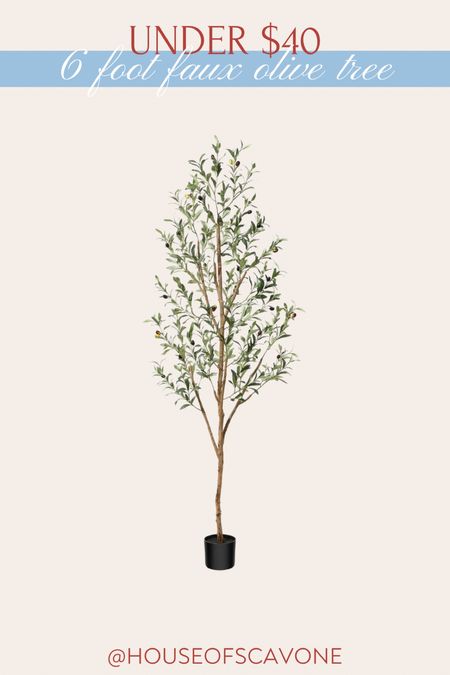 6 foot faux olive tree on SALE for under $40 🌳 #tree #faux #fauxtree #fauxolivetree #olivetree #homedecor #livingroom 

#LTKHome #LTKFindsUnder50 #LTKSaleAlert
