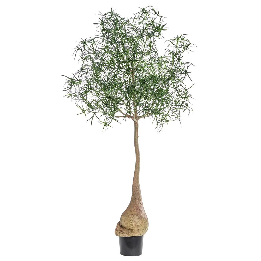 Artificial 8' Queensland Bottle Tree With Plastic Pot | Wayfair North America