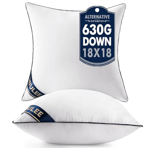 MIULEE 18x18 Pillow Inserts Set of 2 Throw Pillows 18 Inch Premium Down Alternative Pillow Inserts Decorative Pillow Stuffer for Sofa, Couch (18x18 inch, Set of 2) | Amazon (US)